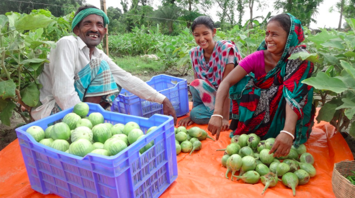 Food Security and Livelihood Promotion