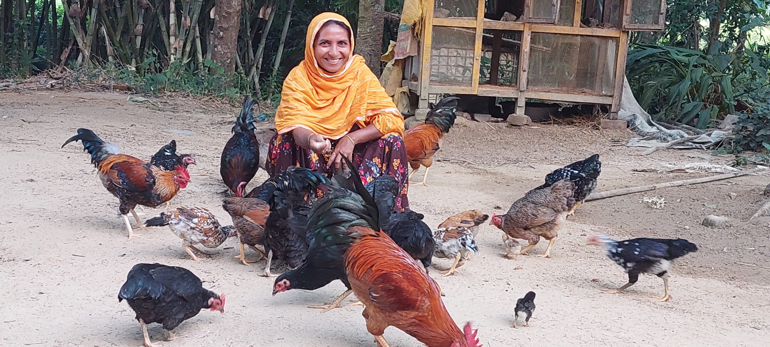 Livelihood Promotion